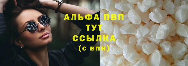 хмурый Бородино