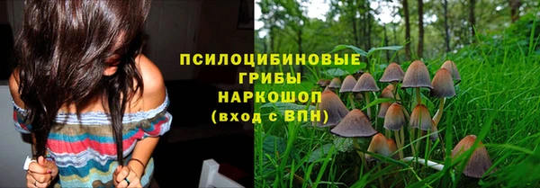 герыч Бугульма