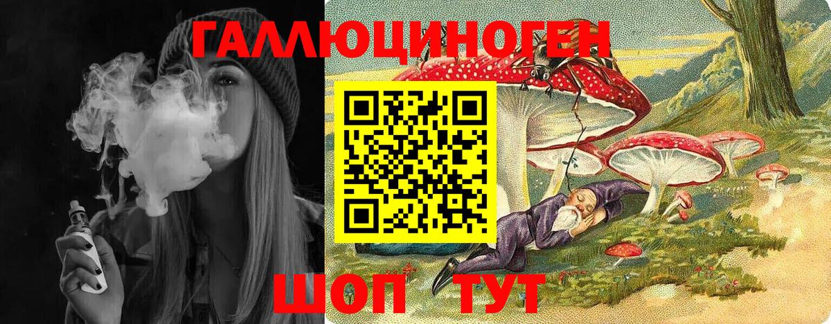 Галлюциногенные грибы Psilocybine cubensis  Галлюциногенные грибы мицелий  Вход с VPN  Северобайкальск 